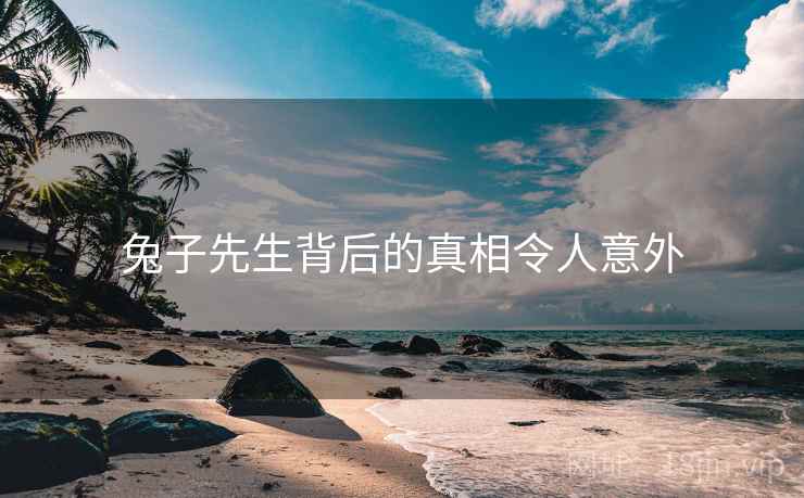 兔子先生背后的真相令人意外