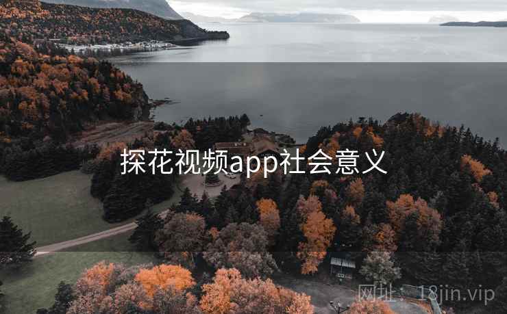 探花视频app社会意义
